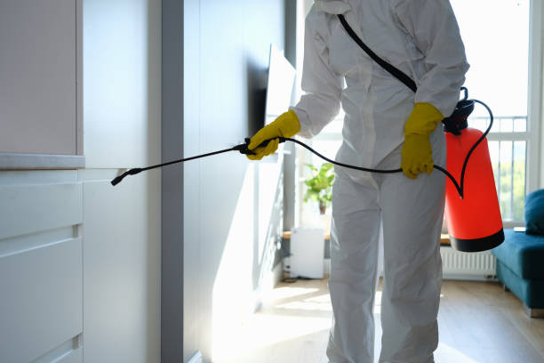 Mold Removal and Inspection in Louisburg, KS